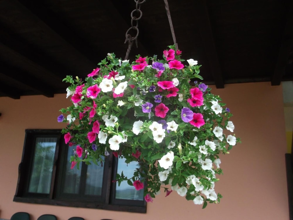Photo 46