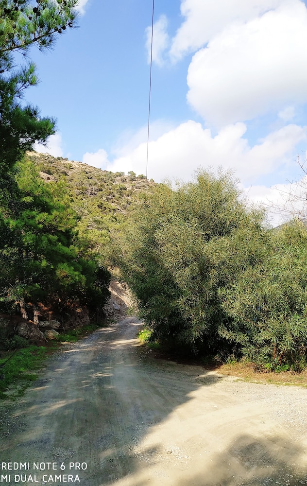 Oleander's Garden en Ierapetra — other
