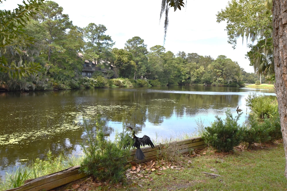 Photo 49