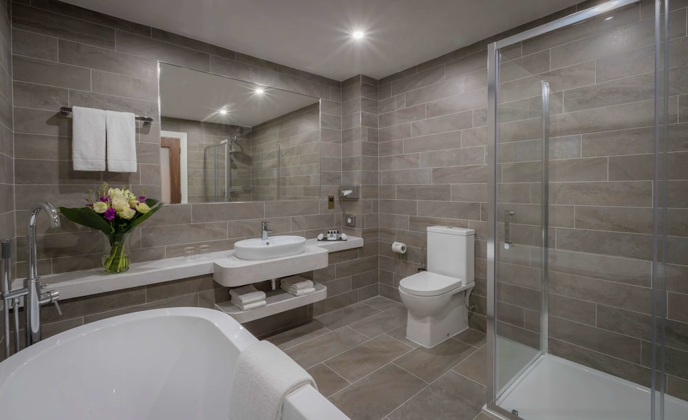 Limerick Vacations - Castletroy Park Hotel Suites - Property Image 2