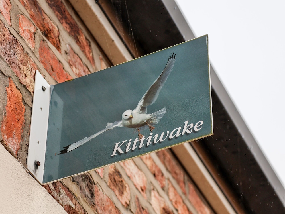 Kittiwake