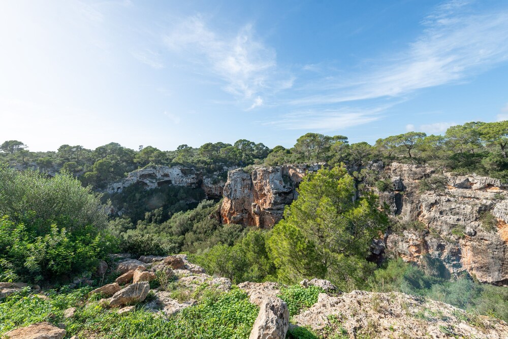 The Torrent s Observer Holiday Home