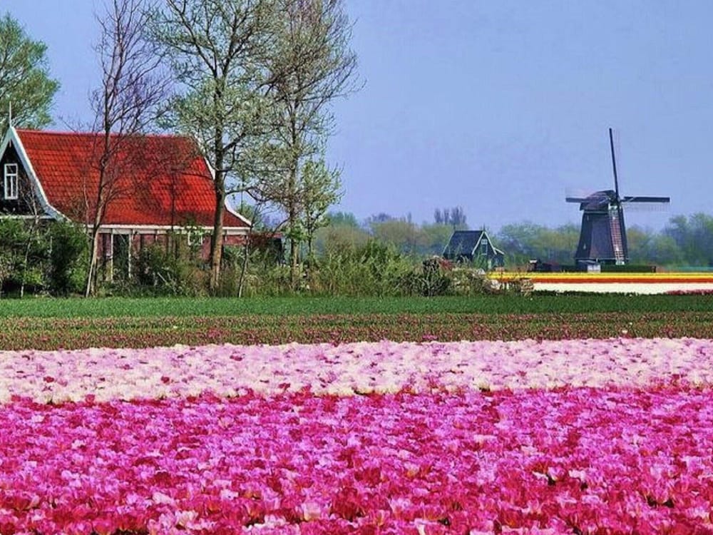 Apartment With Garden in Dutch Countryside view 4