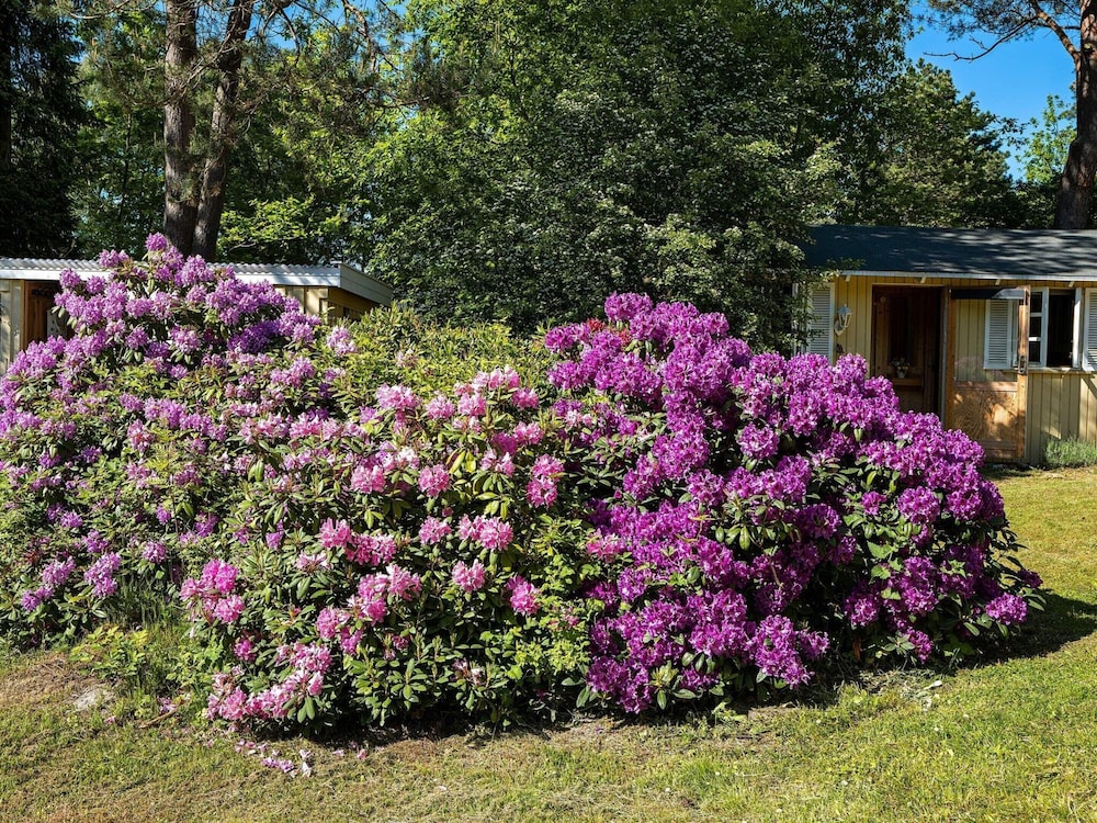 8 Person Holiday Home in Rorvig view 5