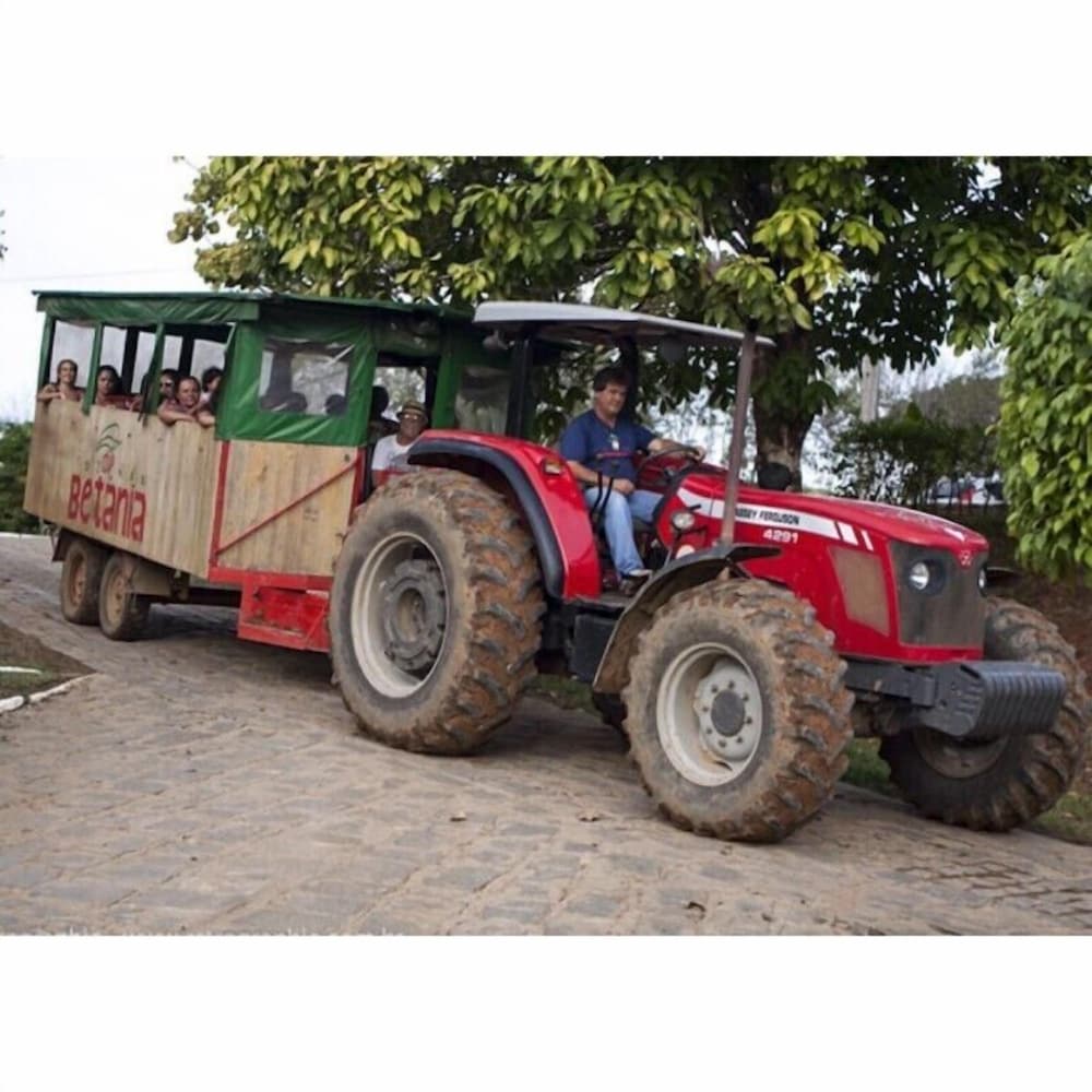 Fazenda Betânia view 4