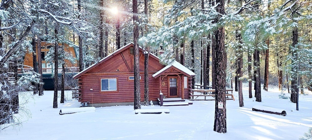 Catalina Creekside Cabin