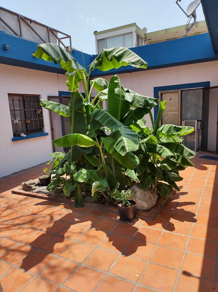 ANTIQUE Casa de Huespedes Barrio Antiguo