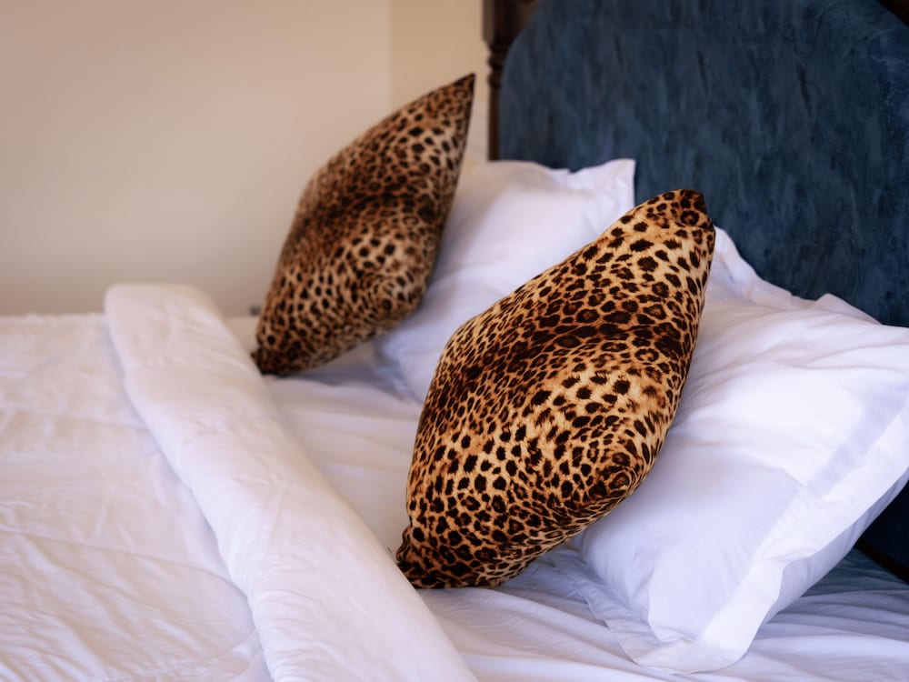Elan Jawai Resort & Wildlife