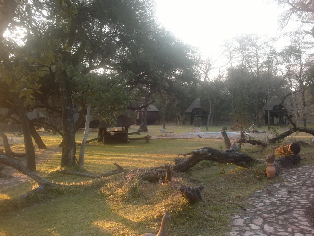 The Tree Lodge at Sikumi