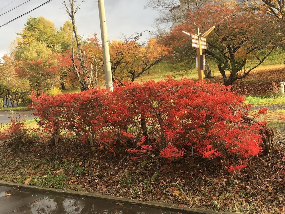 Onsen Yasumori