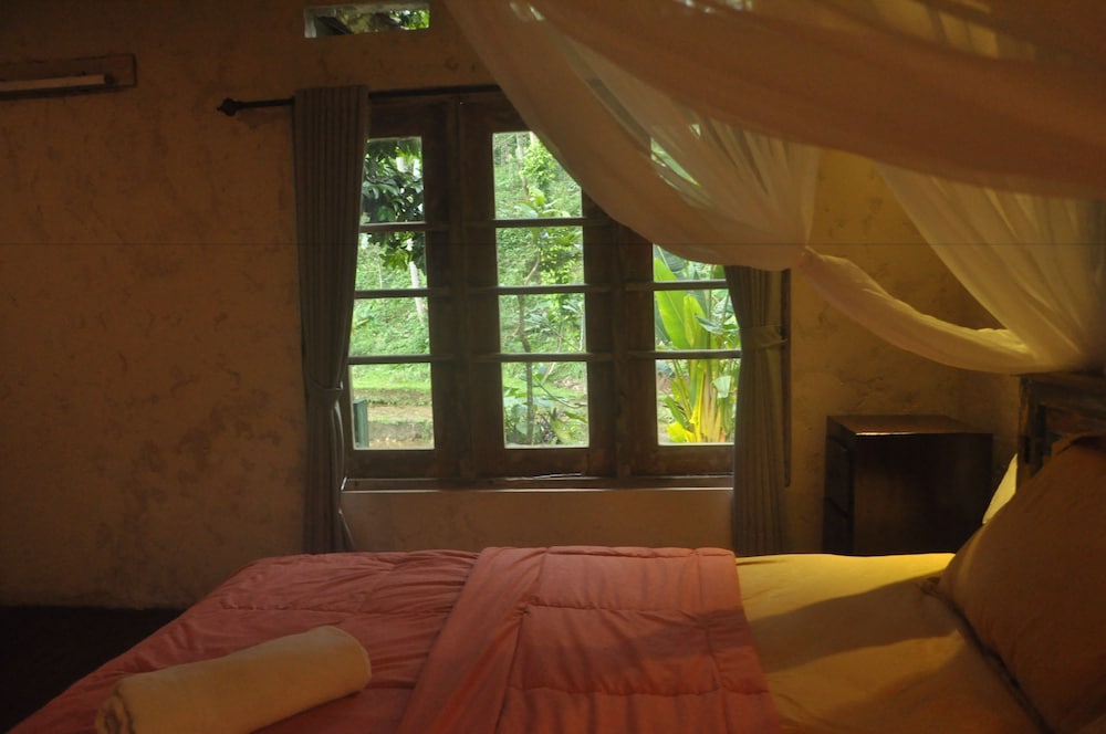Tepi Sawah Lodge