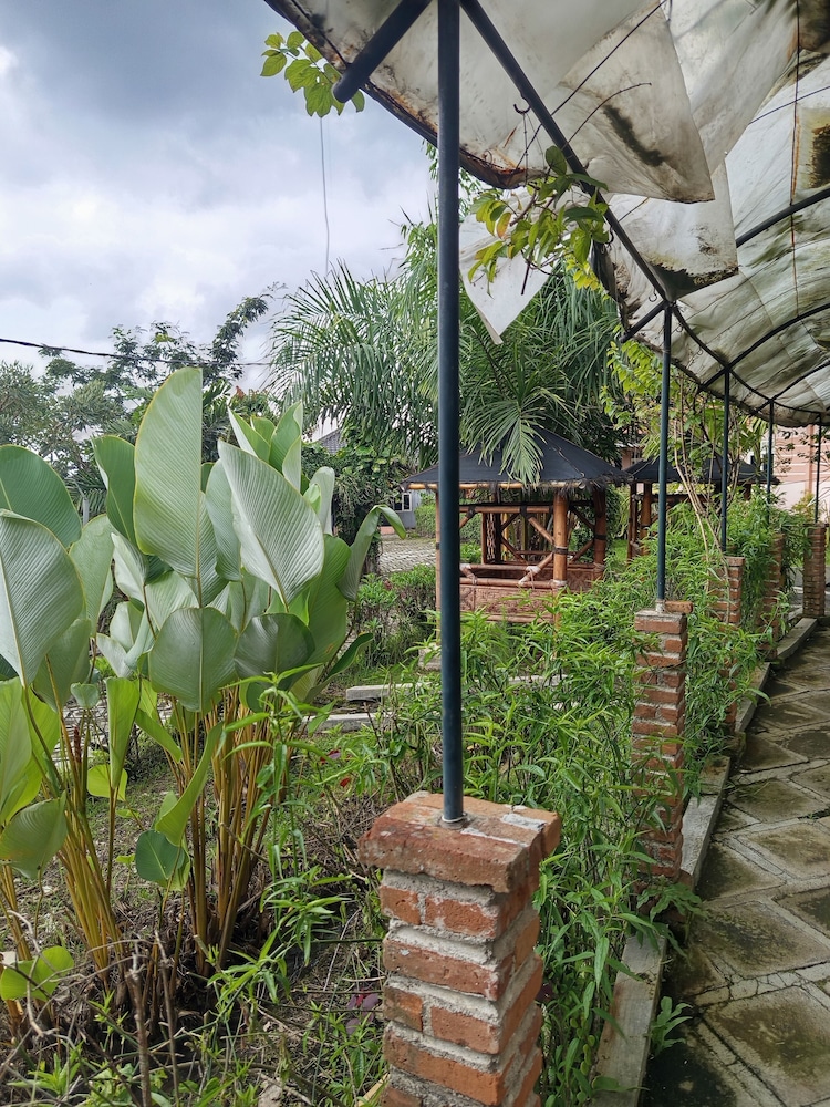 Tulip Guest House & Cafe