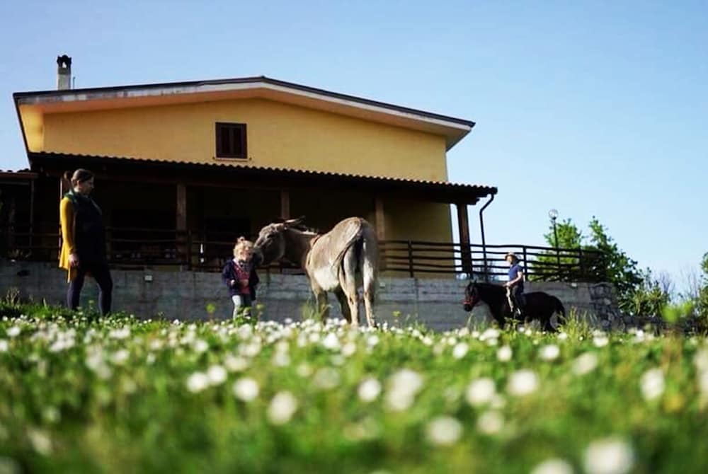 Il Rifugio del Contadino Country House