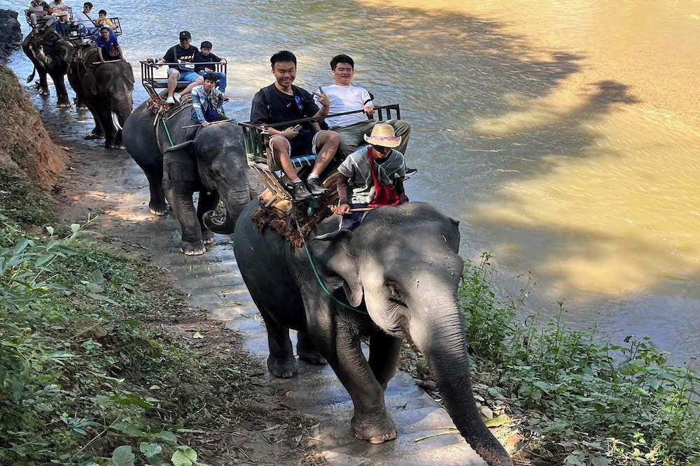 Tung Lakorn Farm