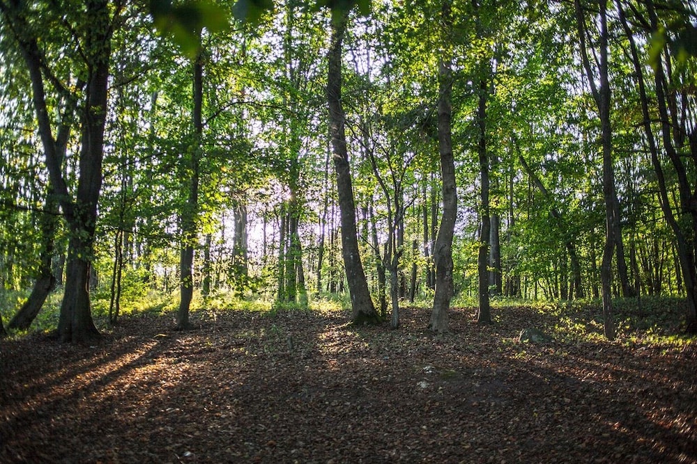 Agroturystyka u przyjaciol Soni