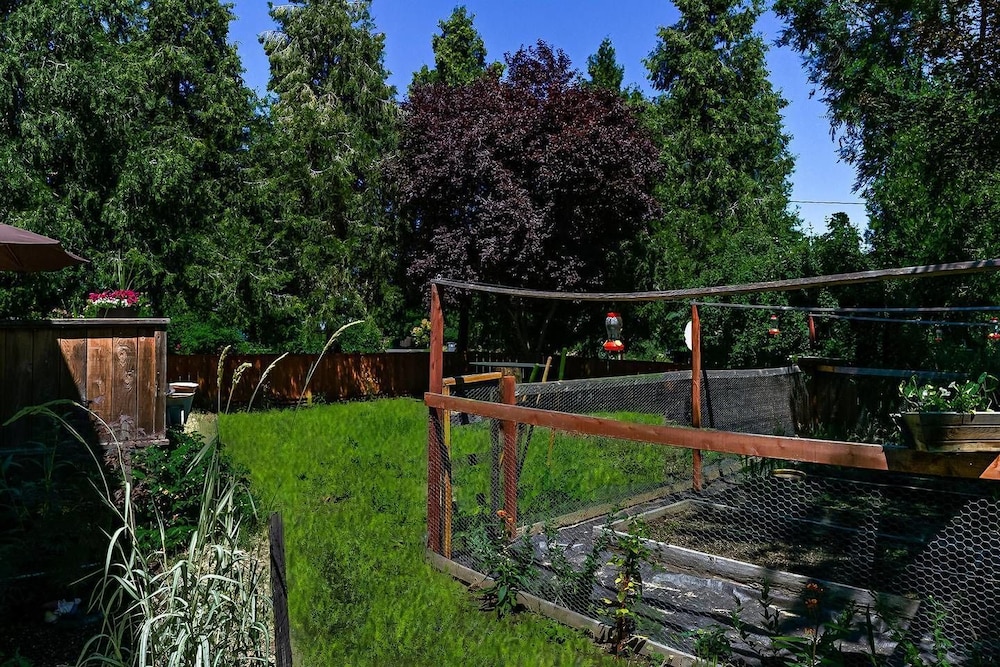 Madi's Place Guest House - Property Image 6