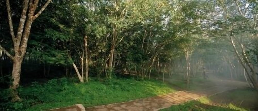 The Windflower Jungle Resorts and Spa