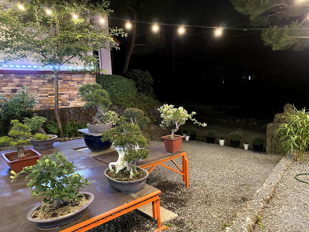 Memory In Jeju Pension