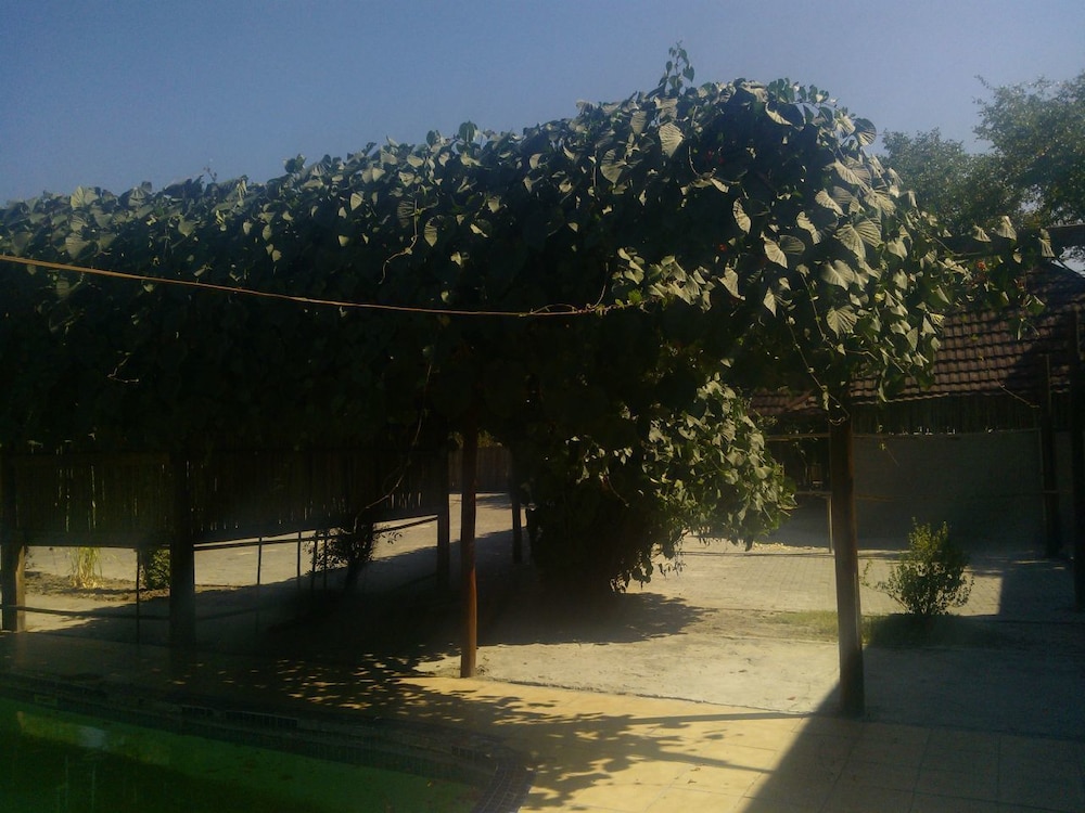 Luxury Wild Inn
