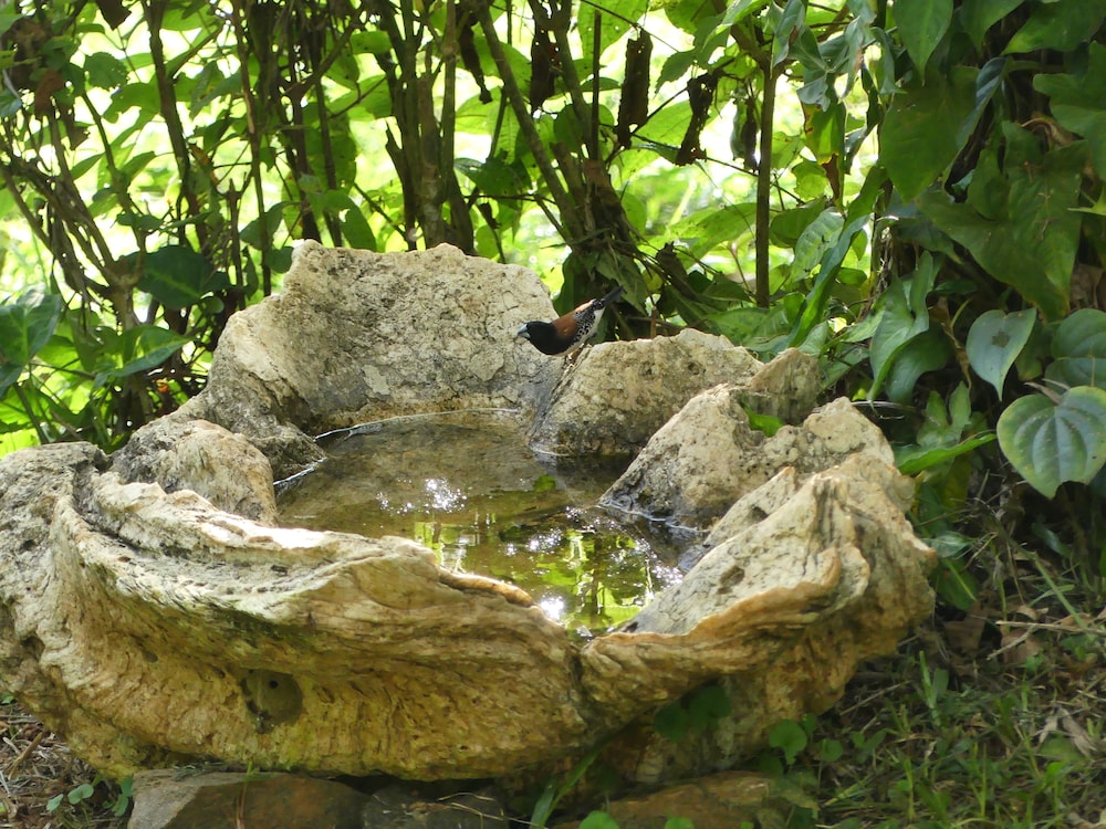 Photo 31
