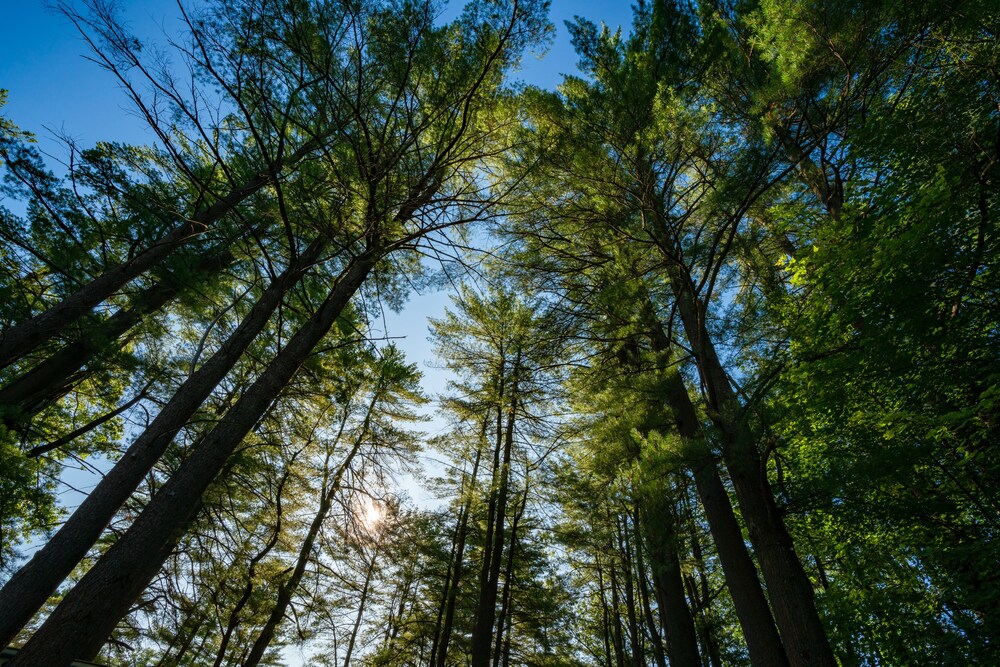 Sun Retreats Adirondack Gateway