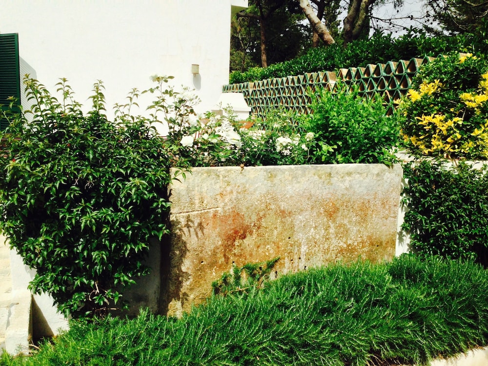 Tenuta Belvedere