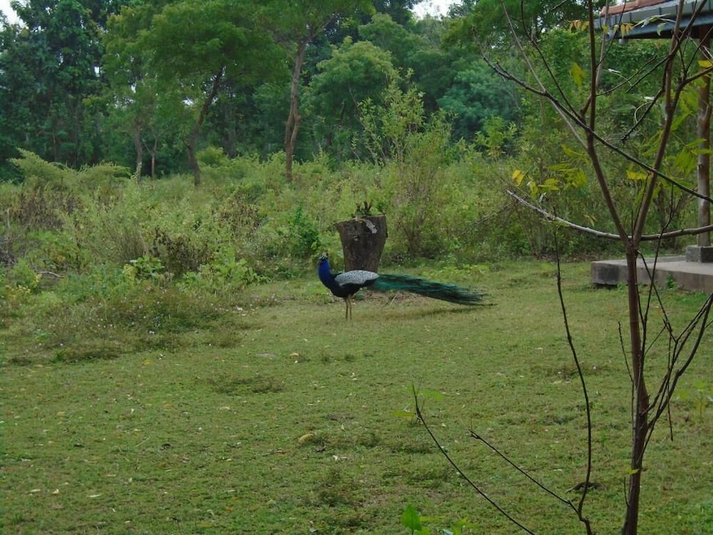 Photo 19