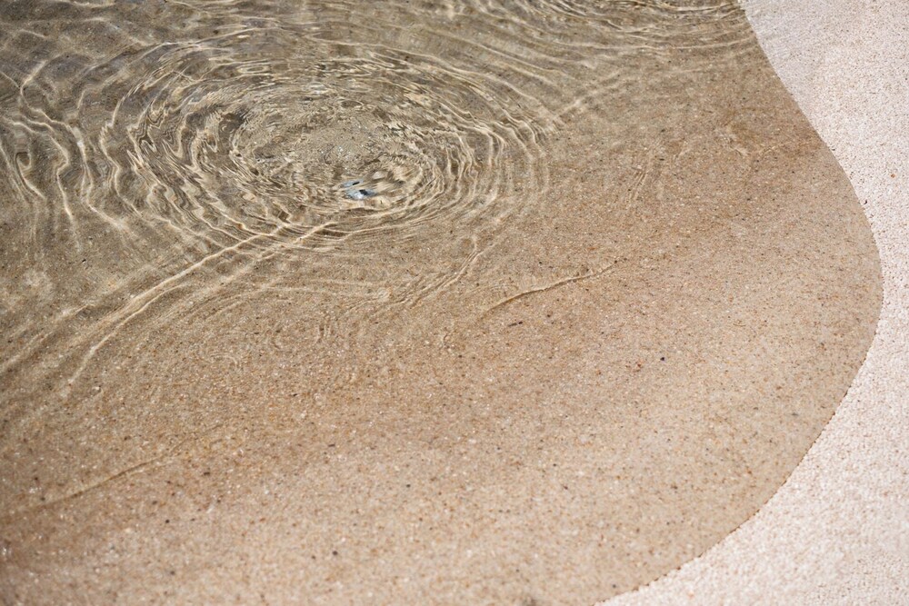 Bosco Canoro Resort