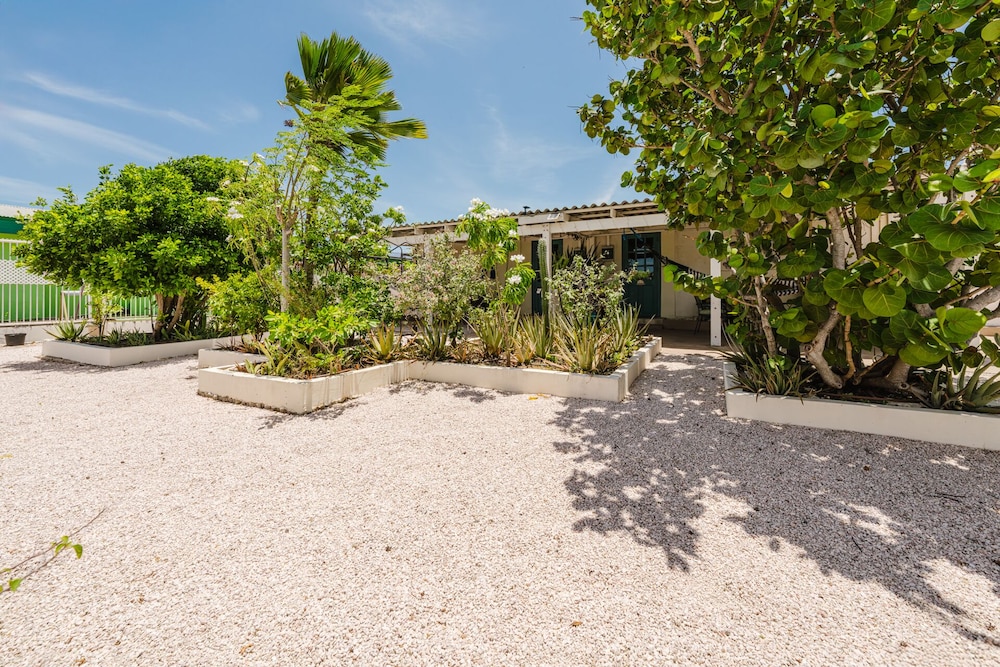 Mangel Halto Aruba one Minute Walk to Beach Apt2