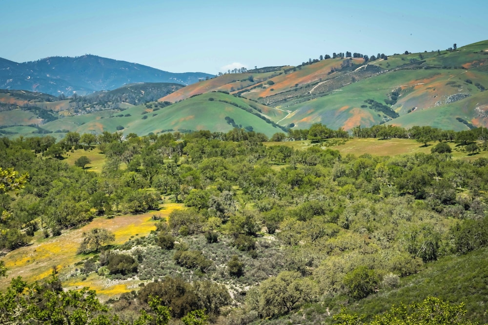Blue Oak Oasis At Lake Naci