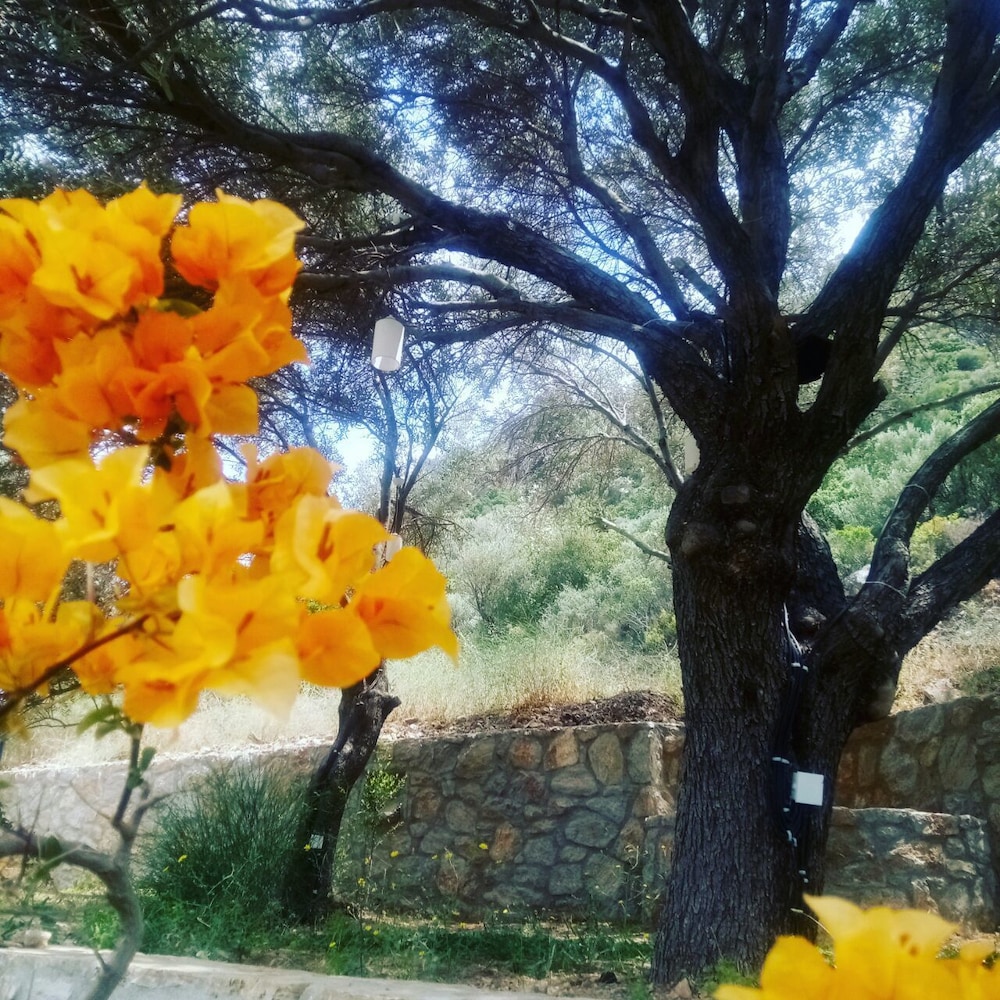 Ipekce Tatil Evleri