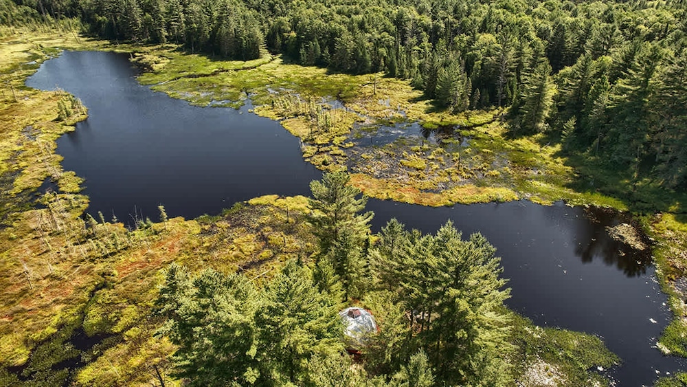 A Secluded Cabin on Your own Prvt Pond Serenity