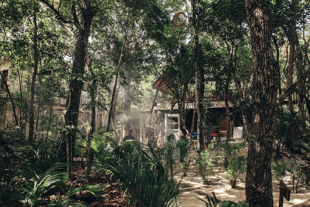 Tulum Jungle Villa Aire