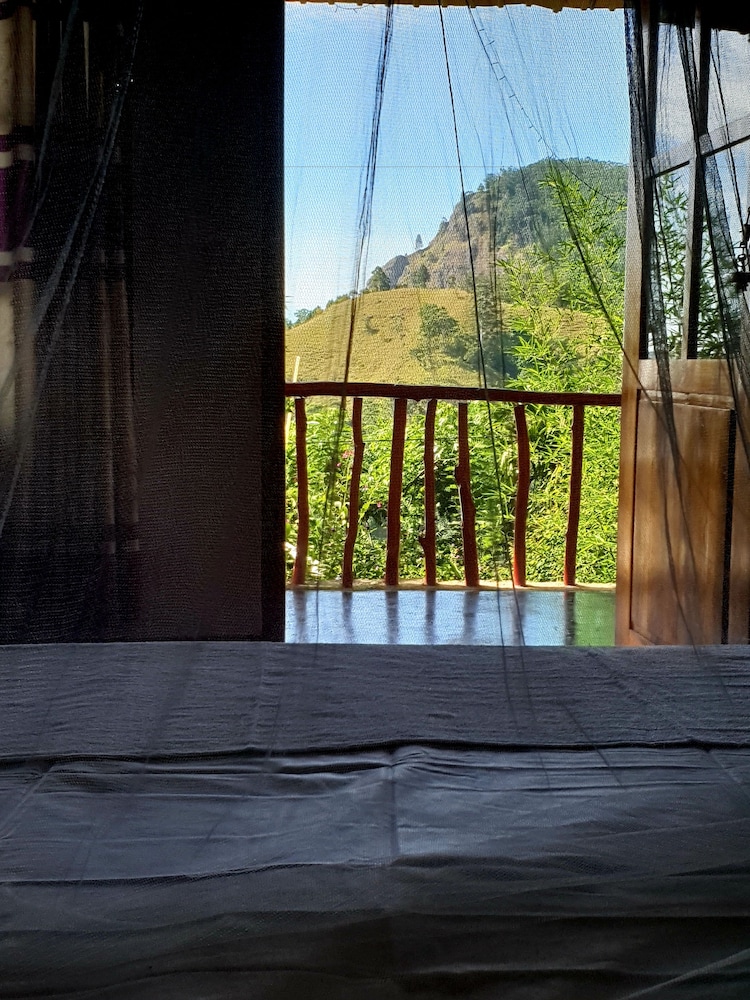 Adannz view