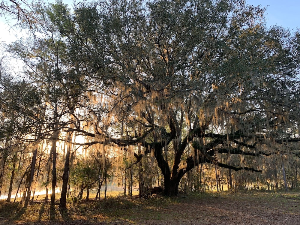 Comfy Camping At The Forge - Property Image 1