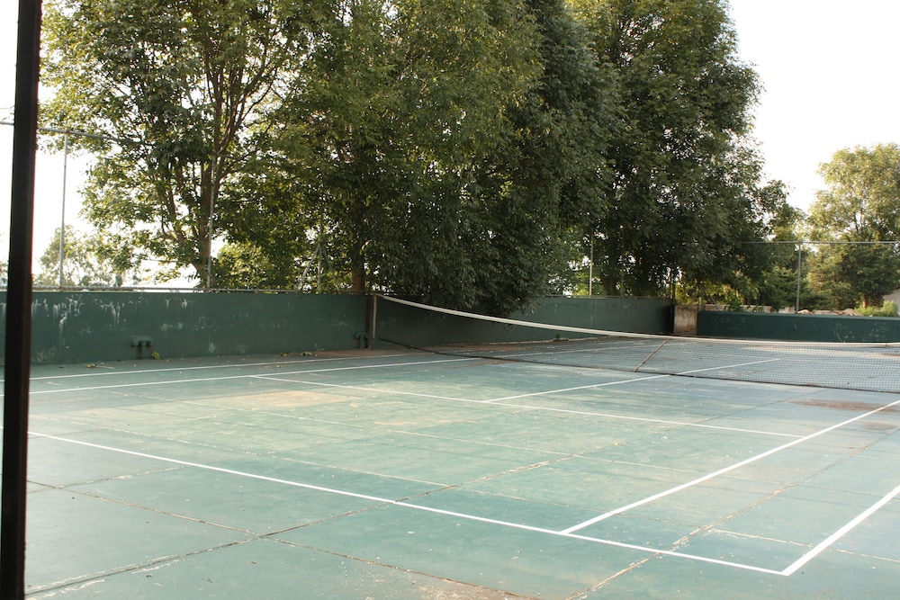 Photo 17