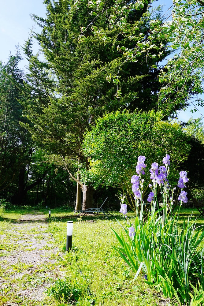 Photo 32