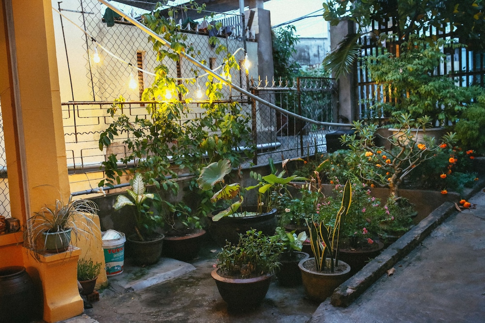 Herb's House
