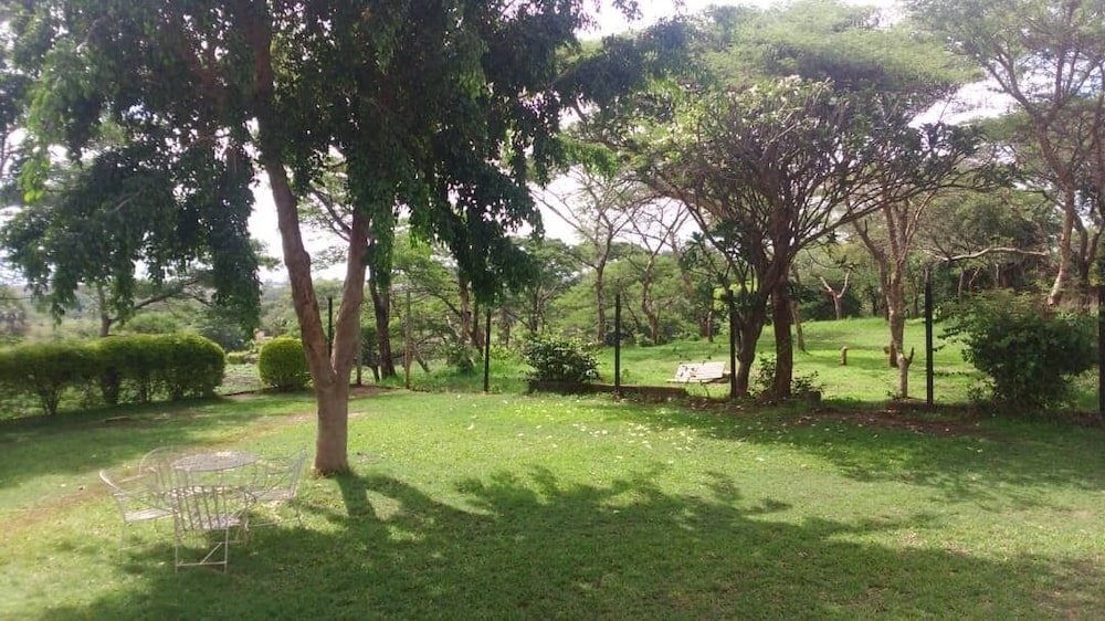 Photo 43