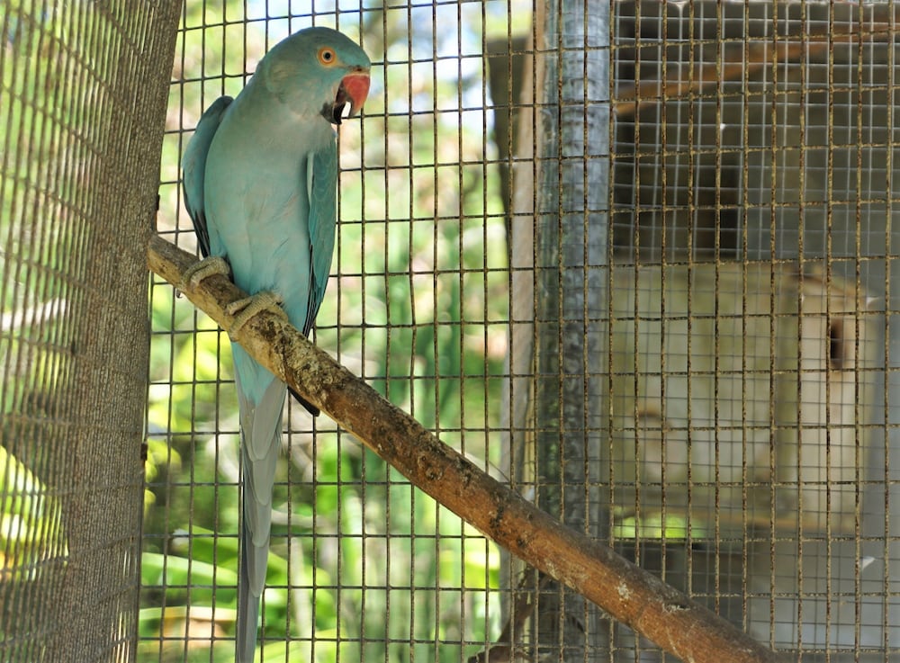 2 Bedroom 'Bird Watching Vacation' Villa