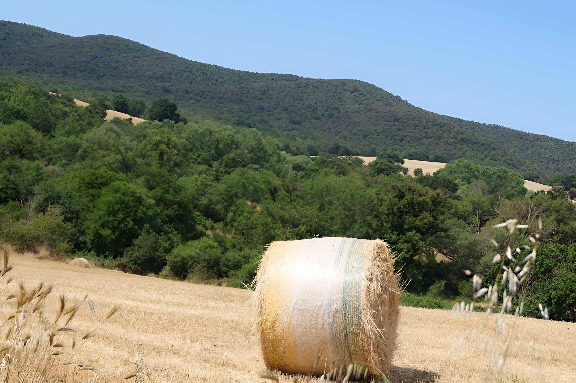 Agriturismo Bonzalone
