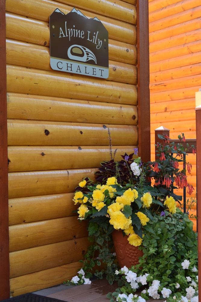 Alaska Adventure Unlimited Chalets view 5