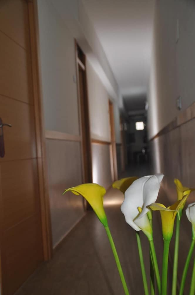 Hostal Patria