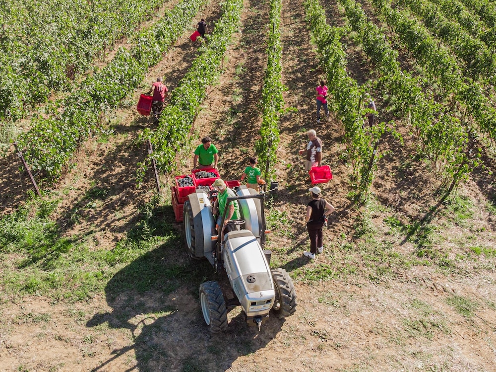 Agriturismo il Querciolo, Billede 58