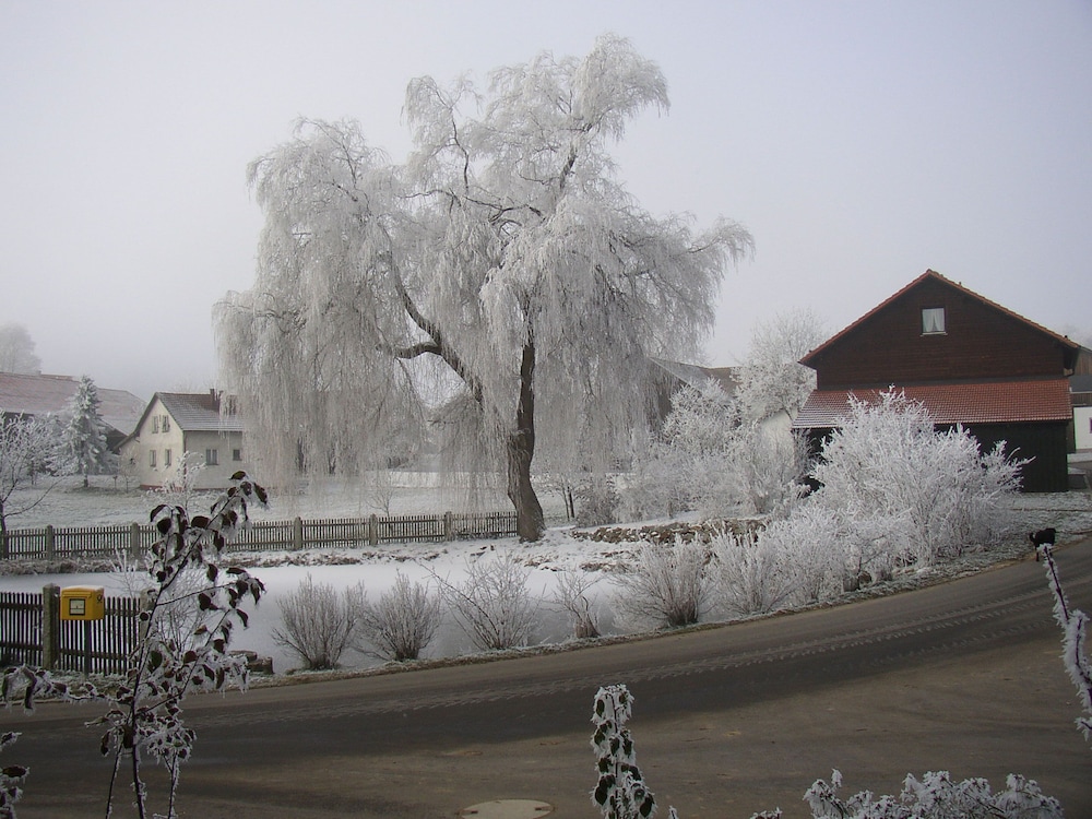 Photo 45