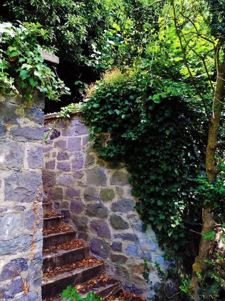 Photo 38