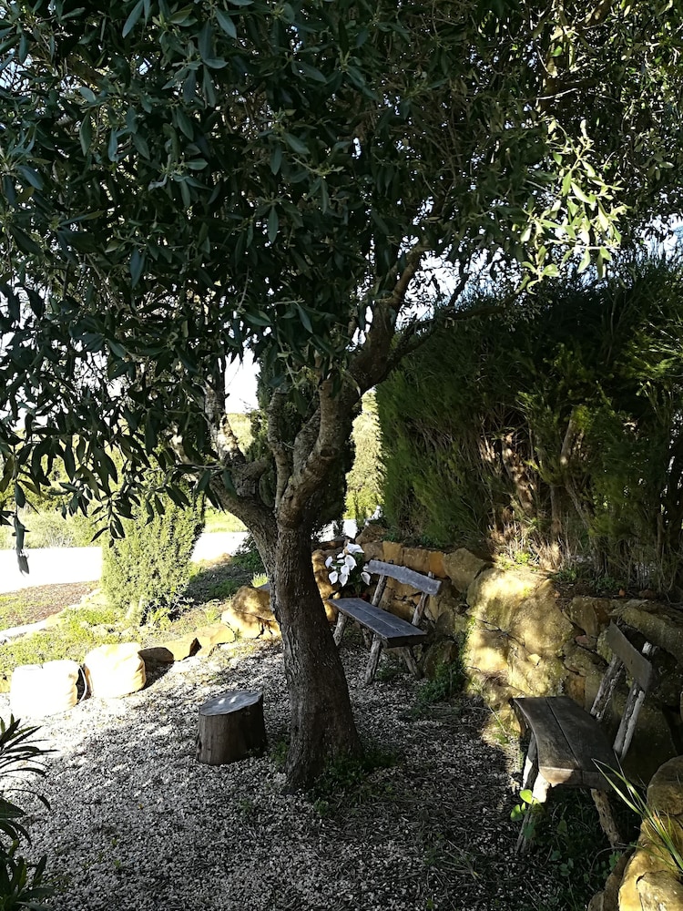 Quinta da Falcoeira