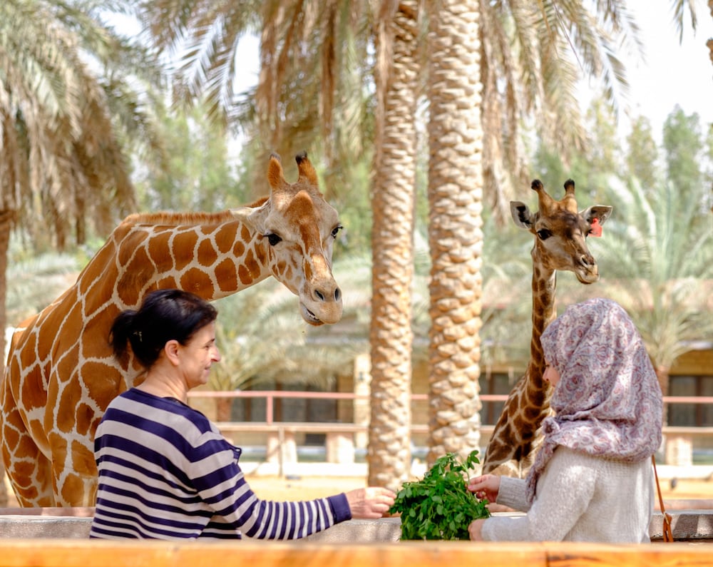 Abu Dhabi Vacations - Emirates Park Resort - Property Image 15