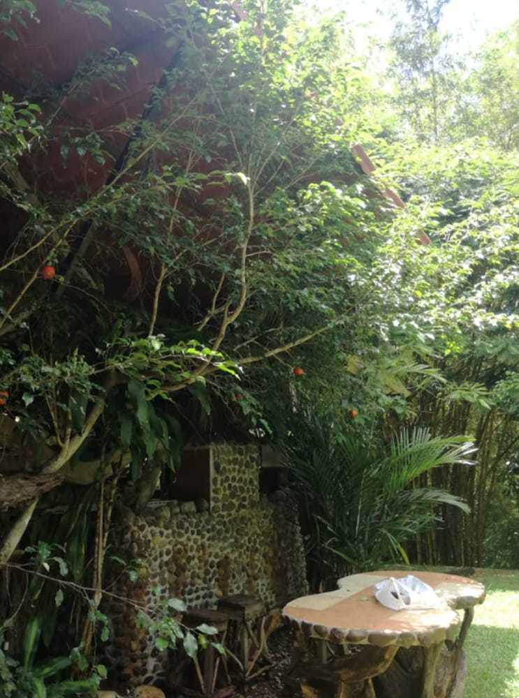 Photo 44