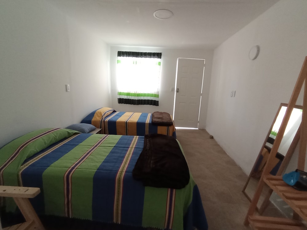 Iguana Co-living
